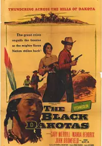 Plakat filmu The Black Dakotas