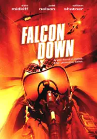 Plakat filmu Falcon Down