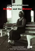 V. Vernon Eckleberry / Mattie and the Meteor