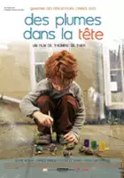 Sylvain Chauveau / Des plumes dans la t&ecirc;te