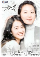 plakat filmu Snow Flower