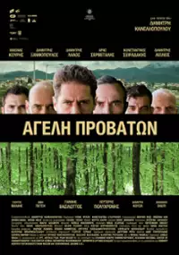 Plakat filmu Ageli provatoniii