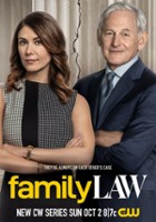 plakat filmu Family Law
