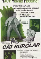 plakat filmu The Cat Burglar