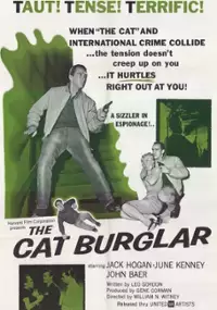 Plakat filmu The Cat Burglar