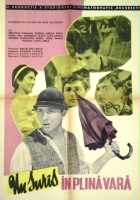 plakat filmu Un Surîs în plina vara