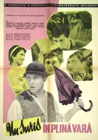 Plakat filmu Un Surîs în plina vara