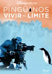 Plakat filmu Pingwiny: Życie na końcu świata