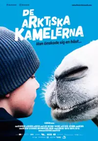 Plakat filmu Arktyczne wielbłądy