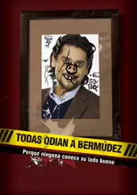 Plakat serialu Bermúdez