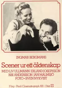 Plakat filmu Sceny z życia małżeńskiego