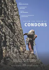 Plakat filmu Niżej niż kondory