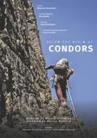 plakat filmu Niżej niż kondory