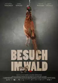 Plakat filmu Besuch im wald