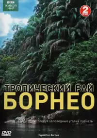 Plakat serialu Expedition Borneo