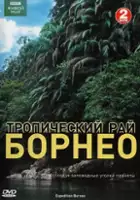 plakat serialu Expedition Borneo