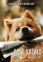 plakat filmu Hachiko