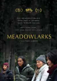 Plakat filmu Meadowlarks