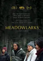 plakat filmu Meadowlarks
