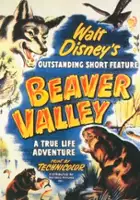 plakat filmu Beaver Valley