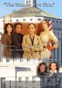 Plakat filmu The Female Law Firm