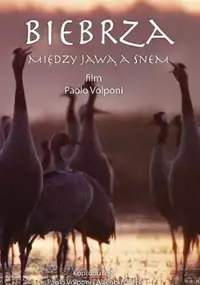 Plakat filmu Biebrza - między jawą a snem