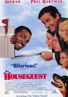 plakat filmu Gość w dom