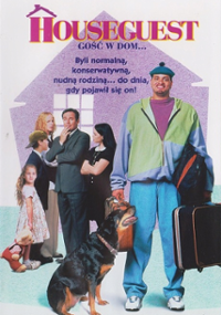 Plakat filmu Gość w dom