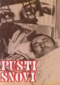 Plakat filmu Pusti snovi
