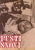 plakat filmu Pusti snovi