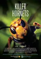plakat filmu Groźne żądła szerszeni