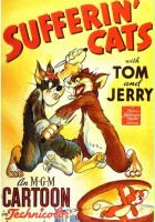 plakat filmu Koty w opałach