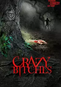 Plakat filmu Crazy Bitches