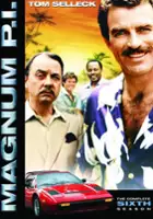 plakat - Magnum (1980)