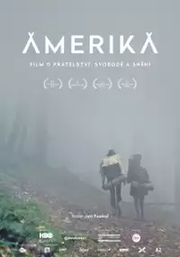 Plakat filmu Amerika