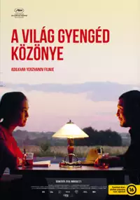 Plakat filmu Łagodna obojętność świata