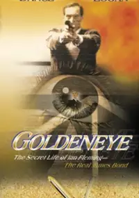 Plakat filmu Spymaster