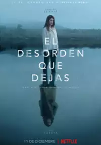 Plakat serialu Bałagan, jaki zostawisz