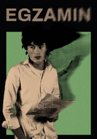 Plakat filmu Egzamin