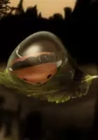 plakat filmu Vaikystės dienora&scaron;tis