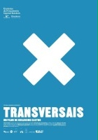 plakat filmu Transversais