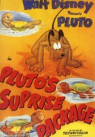 plakat filmu Paczka - niespodzianka dla Pluto