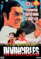 plakat filmu Yong zheng ming zhang Shao Lin men