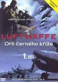 Plakat filmu The History of the Luftwaffe