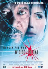 Plakat filmu W sieci pająka