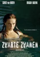 plakat filmu Zwarte zwanen