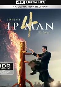 Plakat filmu Ip Man 4