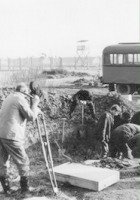 Archeologia