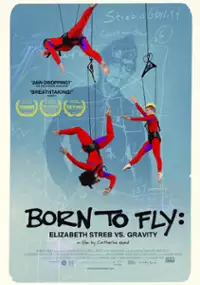 Plakat filmu Born to Fly