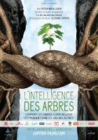 plakat filmu Inteligencja drzew